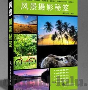 91麻豆传媒网址-91麻豆传媒的数字化直观与网络体验新纪元