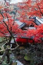 韩国电影2017最新伦理大全-2017年韩国电影伦理大全，深度与人性交织的银幕探索
