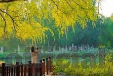 伦理电影强犴大全-伦理电影的深度探索，强犴大全的独特视角