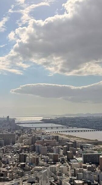 麻豆传媒是啥-麻豆传媒，揭开网络背后的暗流