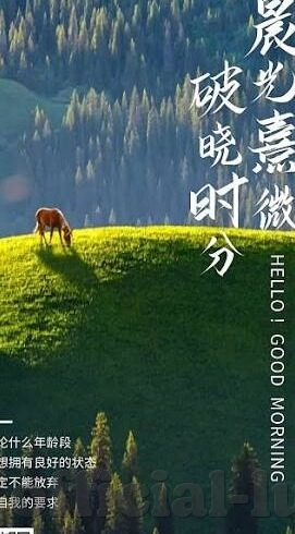 女同女同性中文字幕-女同视角，爱，无关性别，只关乎心