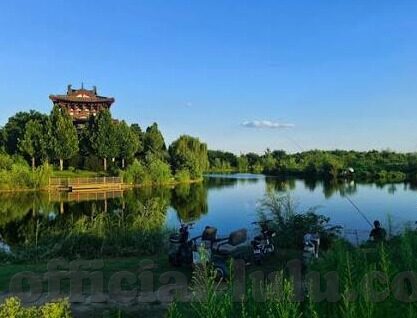 青青草成人在线视频免费视频-青青草成人在线视频，网络世界的灰色地带与法律边界