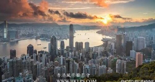 糖心app永久兑换码-深入解读糖心app永久兑换码背后的数字世界
