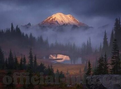 糖心vlogapp官方入口-阅读糖心Vlogapp，时代潮流中的真实与创意书写