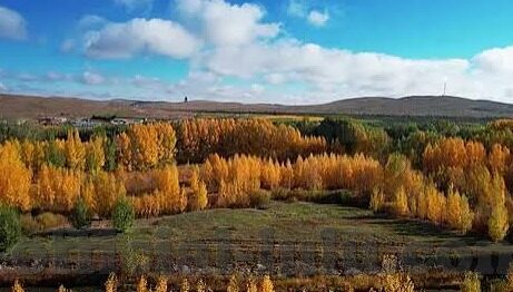 糖心vlog现在-糖心Vlog，记录当下生活，传递瞬间美好的力量