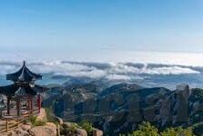 糖心直播app_免费下载-探索多元化娱乐新领地，免费下载糖心直播体验多样化互动