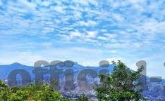 亚洲成人黄色视频网站-亚洲成人内容与网络安全的警醒